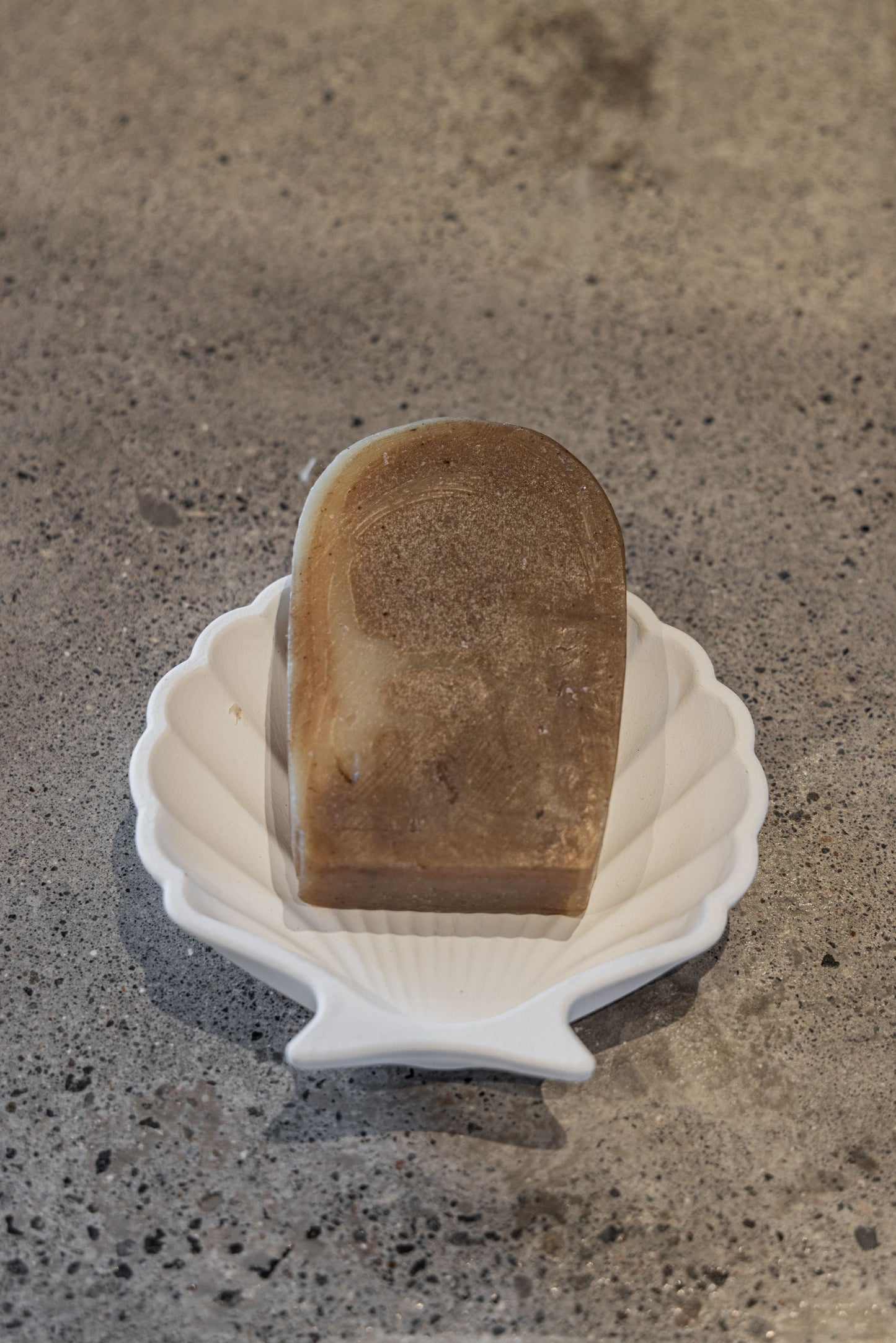 Stucco Shell Trinket Tray